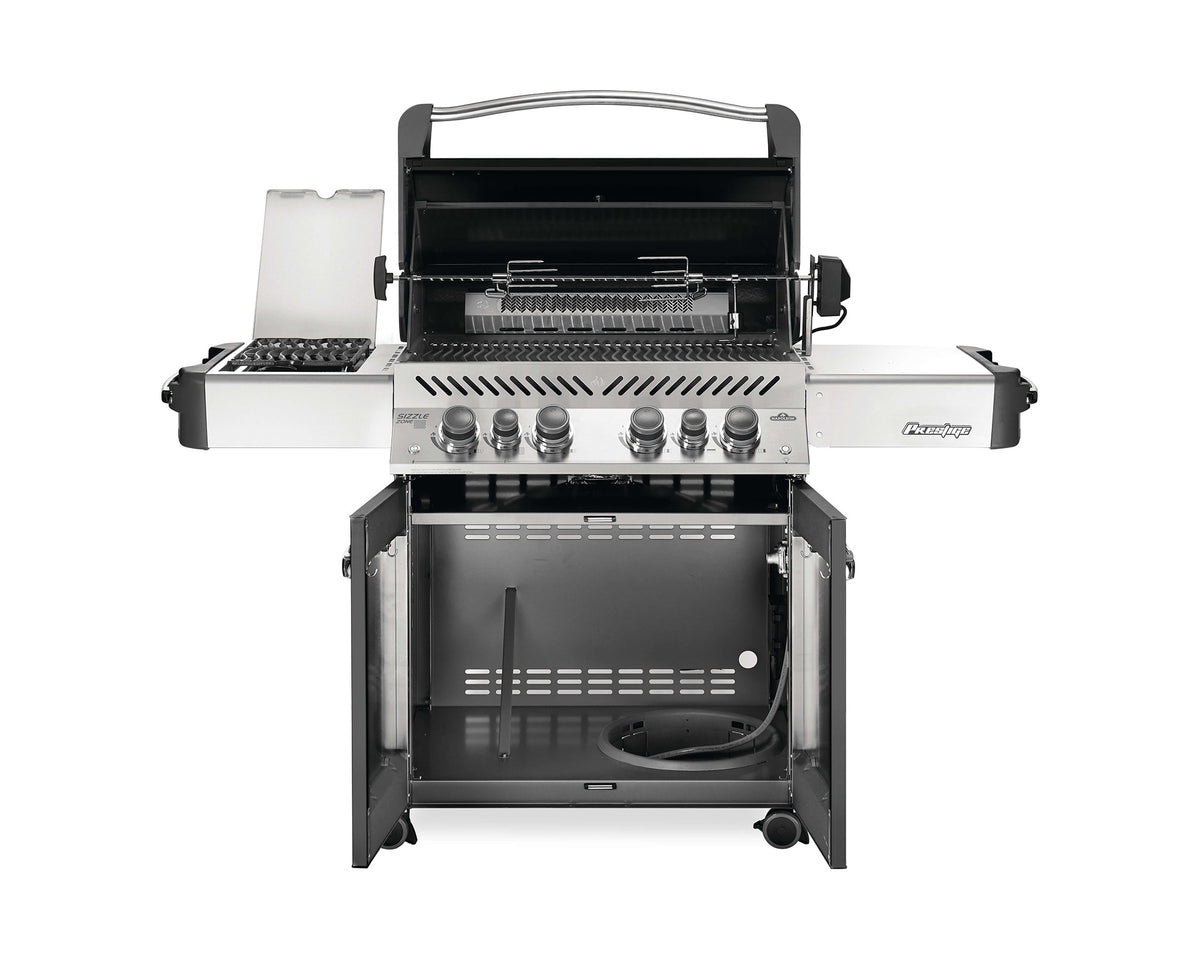 Napoleon Ambiance 500 Gas Grill