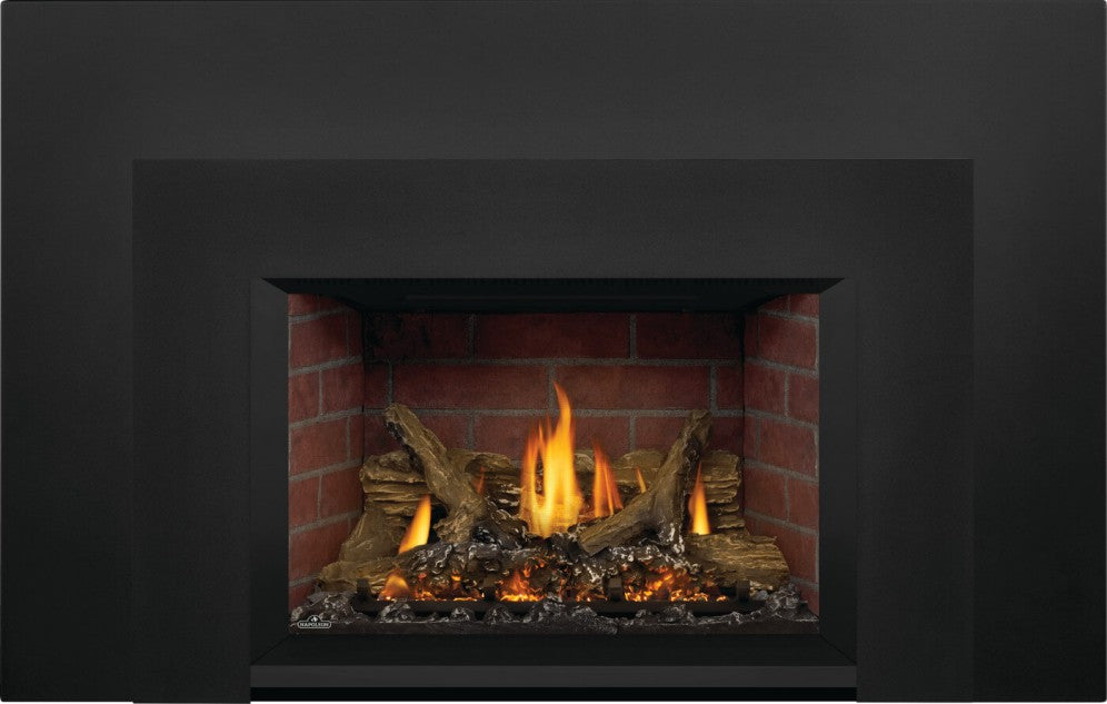 Napoleon Oakville™ Series Gas Fireplace Insert