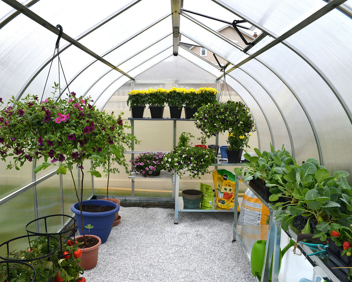 Palram - Canopia Bella Greenhouse