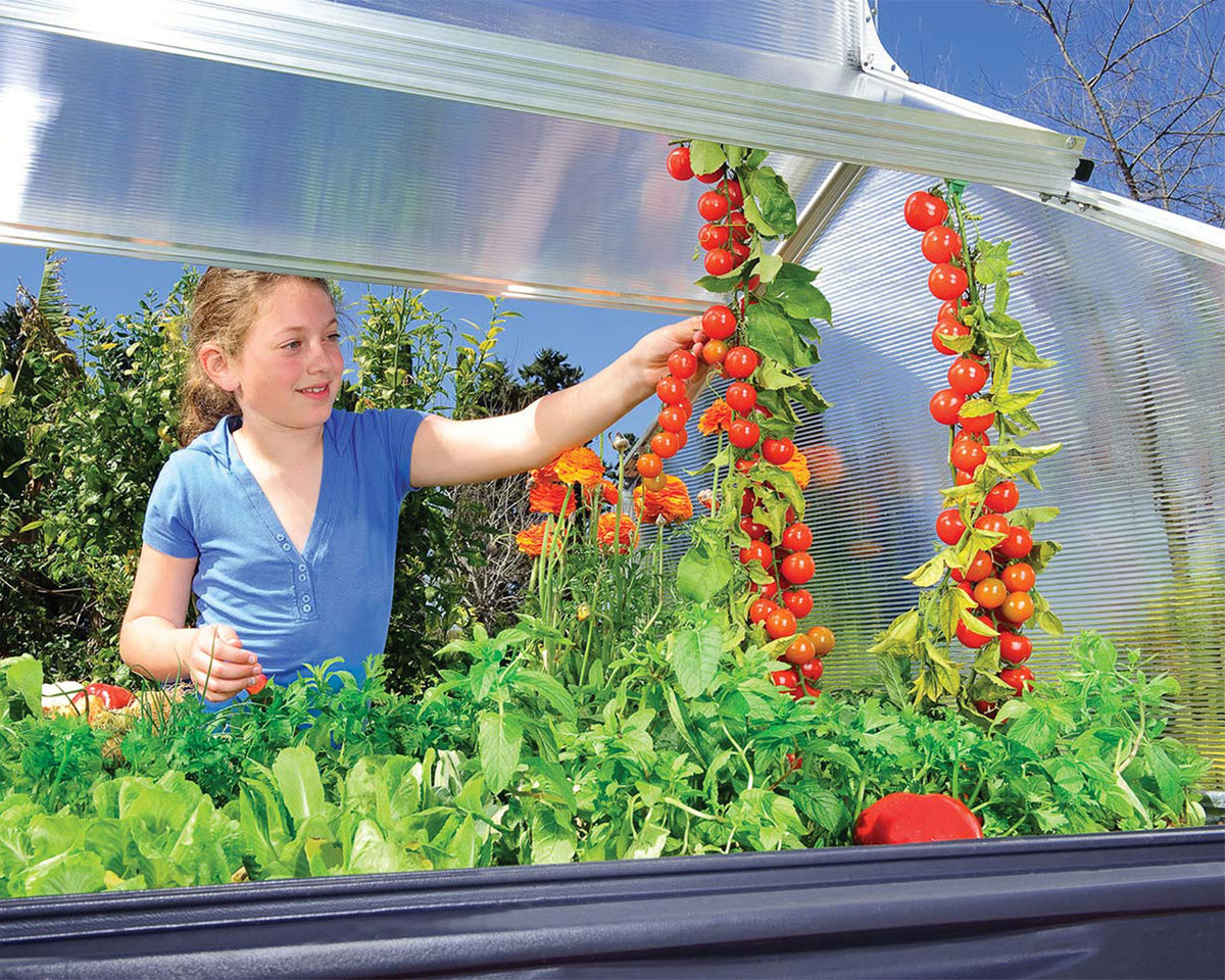 Palram - Canopia Plant Inn Raised Garden Bed Greenhouse