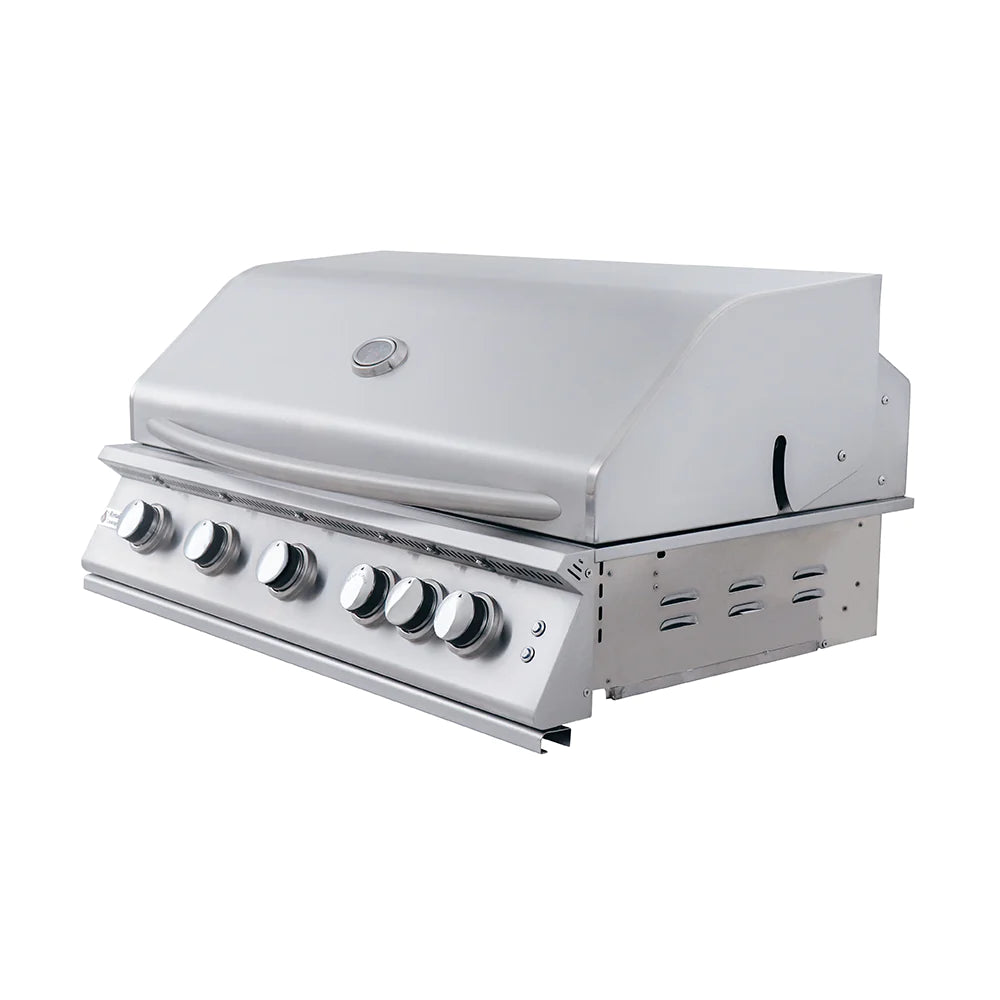 RCS 40&quot; Premier Built-In Gas Grill With Rear Burner And Blue LED