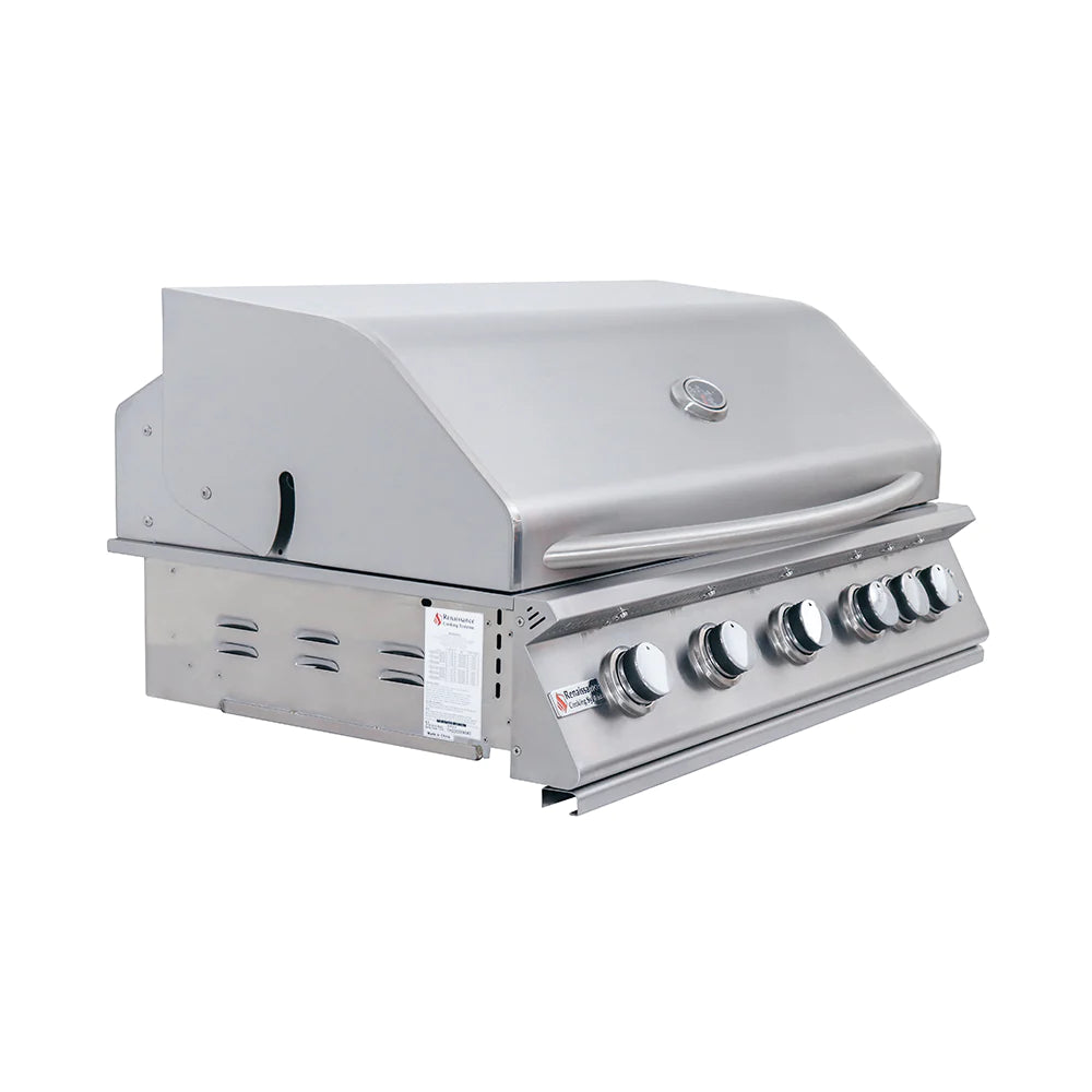 RCS 40&quot; Premier Built-In Gas Grill With Rear Burner And Blue LED