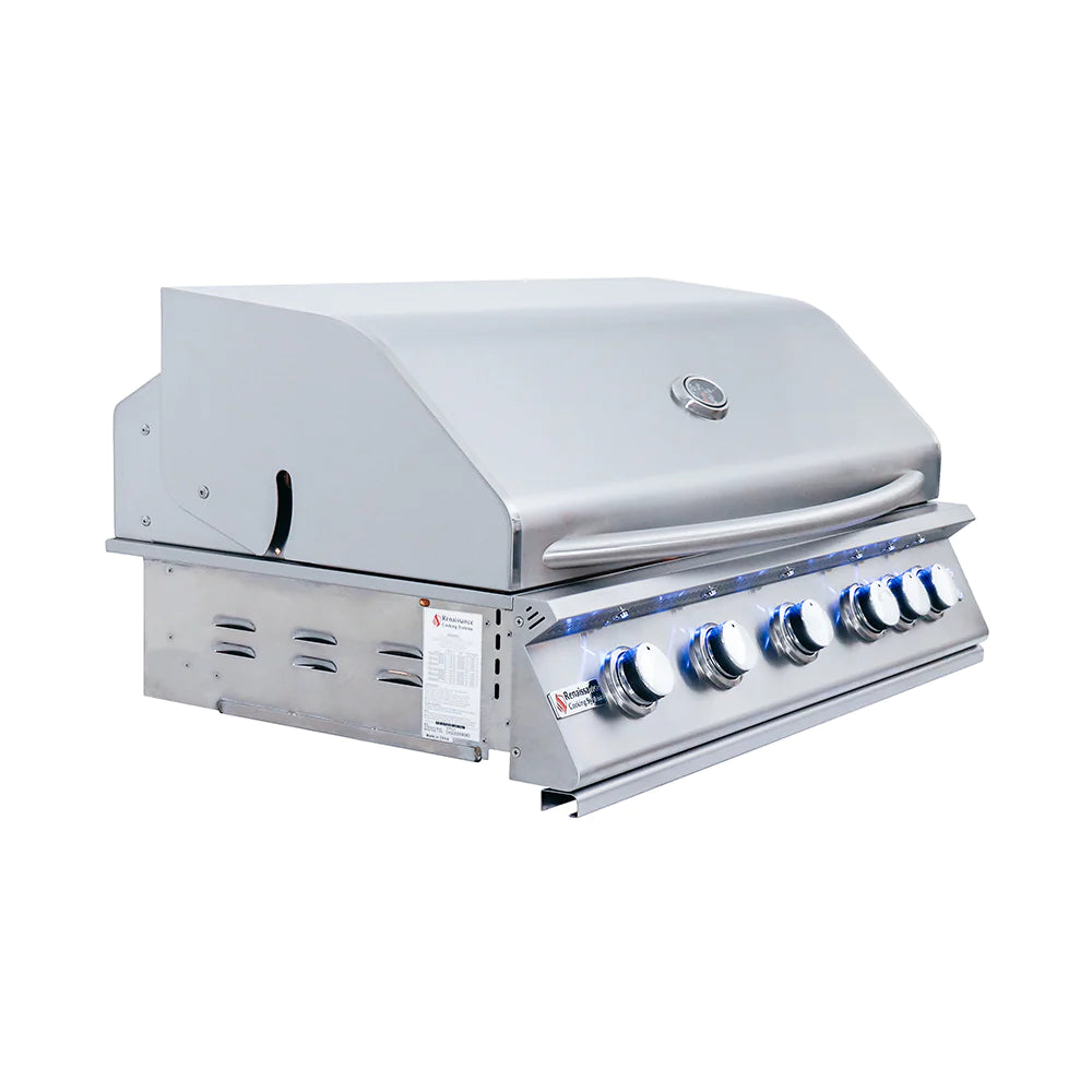 RCS 40&quot; Premier Built-In Gas Grill With Rear Burner And Blue LED