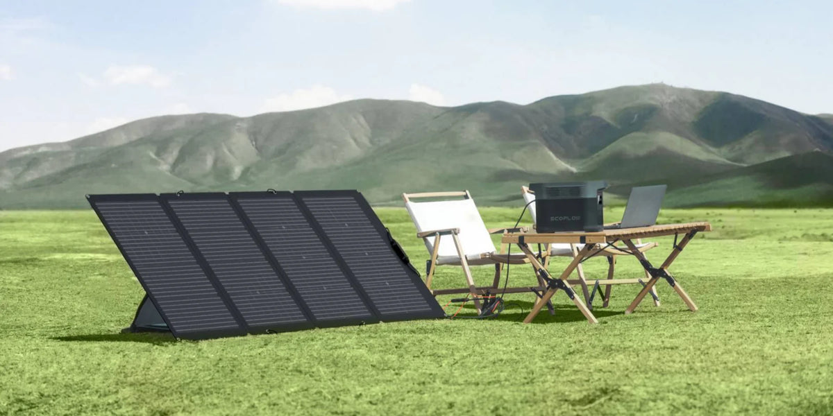 EcoFlow DELTA 1300 + 220W Solar Panel