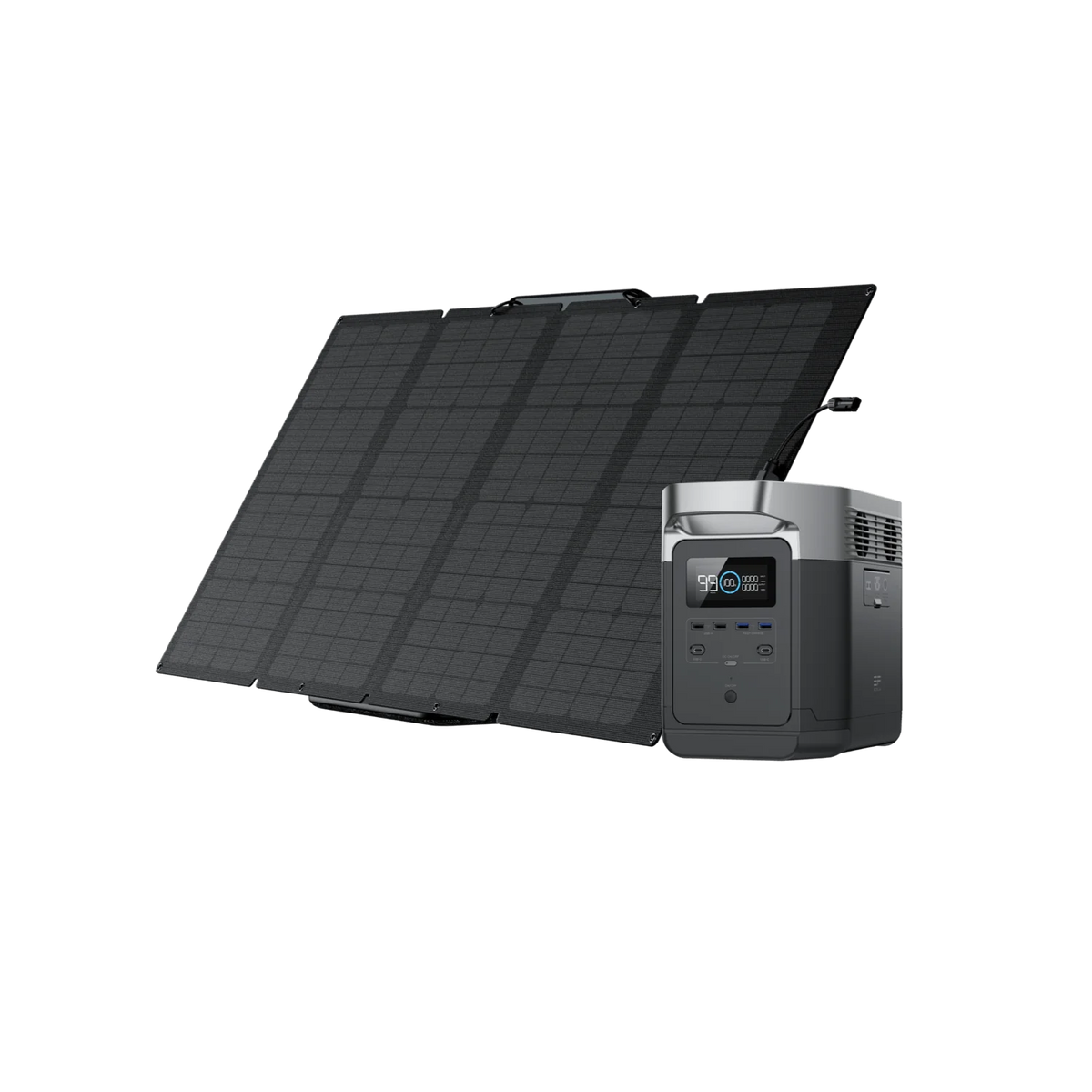 EcoFlow DELTA 1000 + 160W Solar Panel