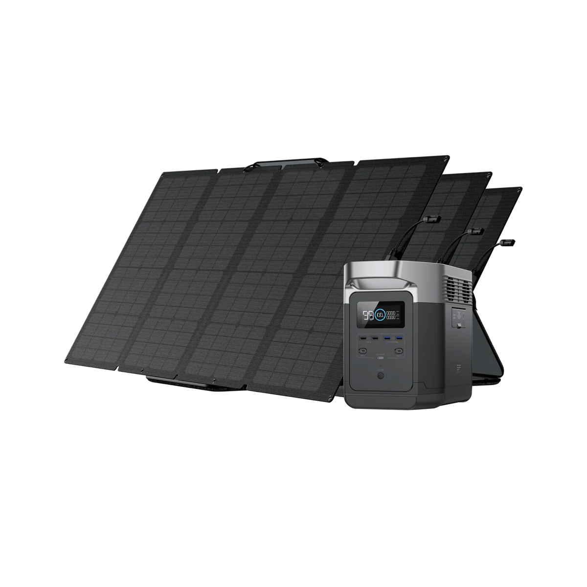 EcoFlow DELTA 1300 + 160W Solar Panel