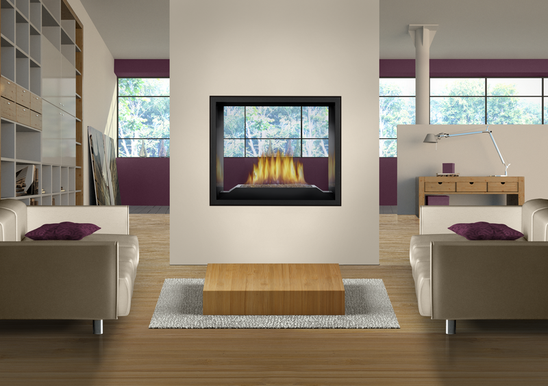 Napoleon High Definition 81 2-Sided Direct Vent Gas Fireplace