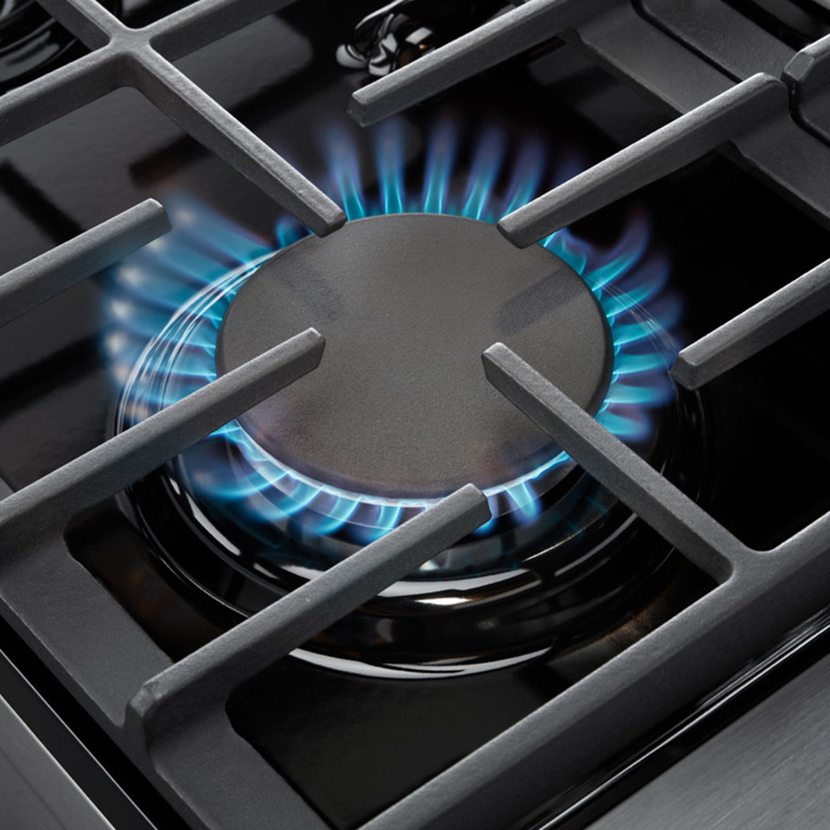 Thor Kitchen 48&quot; 6 Burner Professional Gas Range